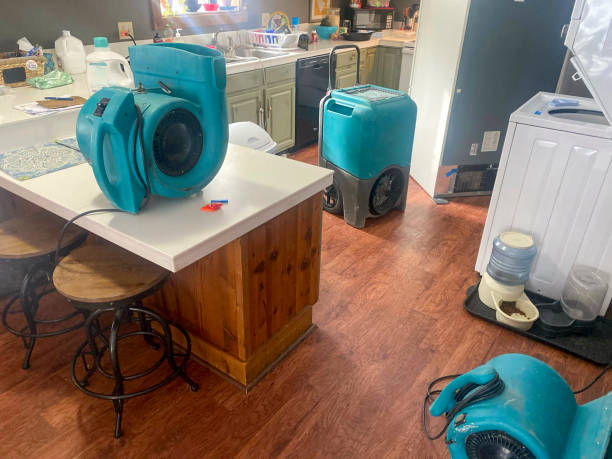 Best Water damage repair service  in Short Pump, VA