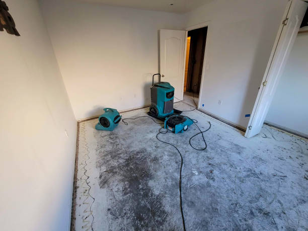 Best Mold removal after water damage  in Short Pump, VA