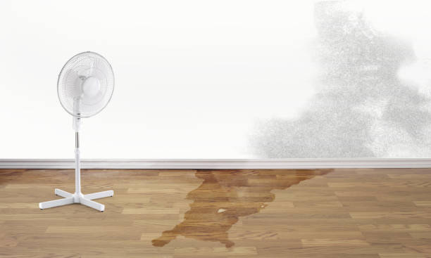 Reliable Short Pump, VA Water damage restoration Solutions