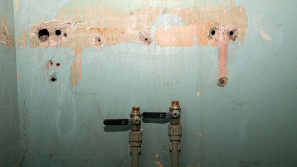 Best Flood damage cleanup  in Short Pump, VA