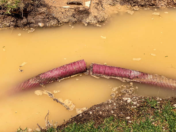 Best Sewage cleanup and water damage restoration  in Short Pump, VA