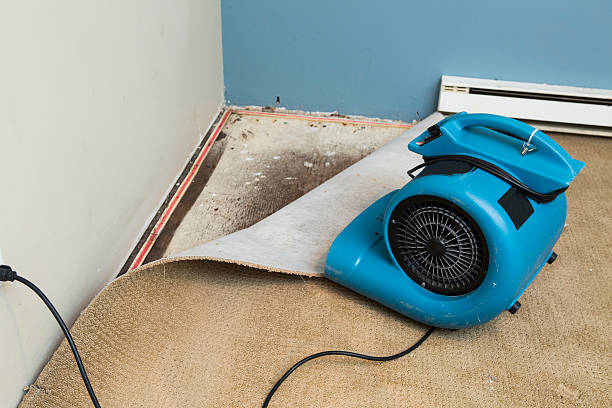 Best Residential water damage restoration  in Short Pump, VA